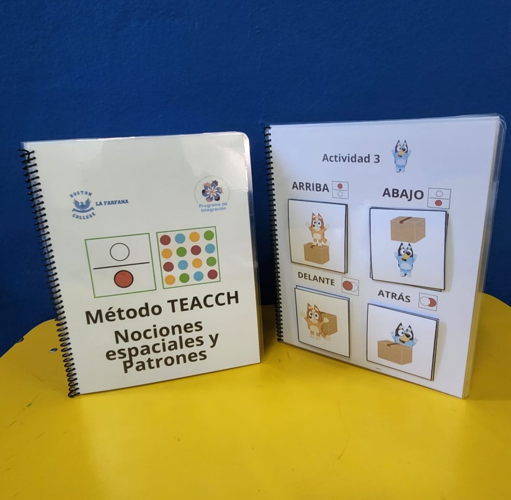 METODO TEACH