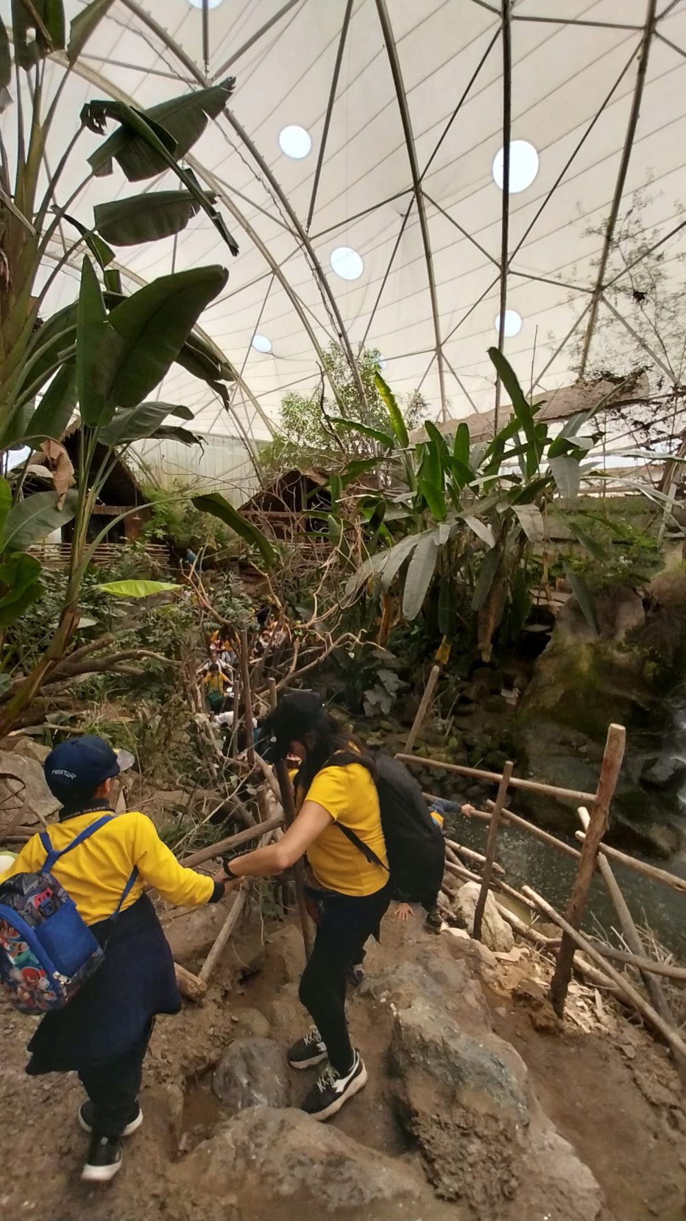 SALIDAS PEDAGÓGICAS: VISITA A BUIN ZOO