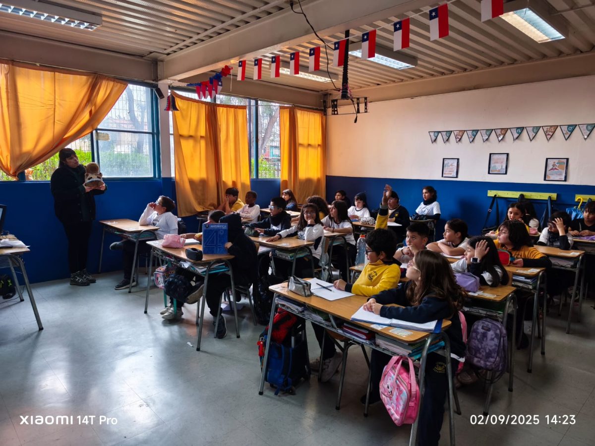 Última Campaña de Asistencia